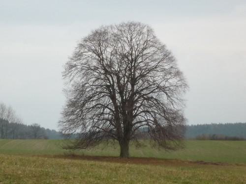 Herbststimmung