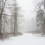 Winterimpression