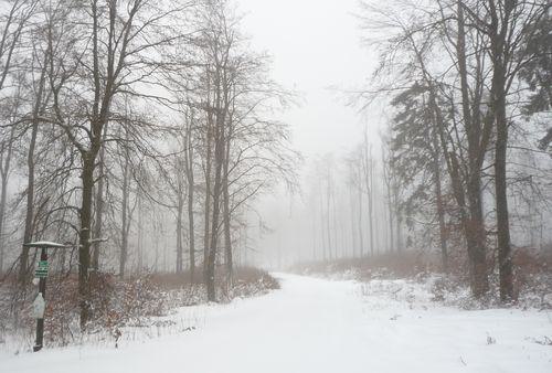 Winterimpression