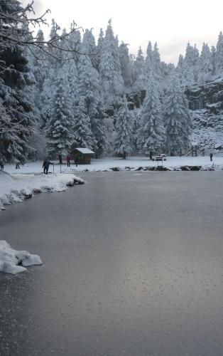 am Bergsee