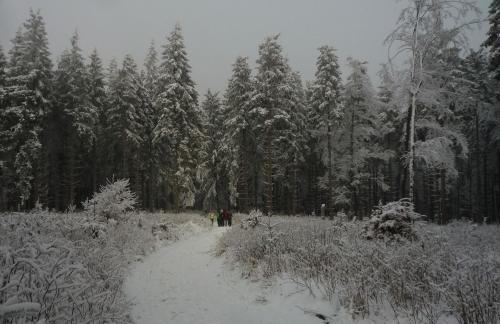 Winterlandschaft