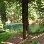 Waldsee