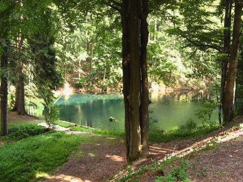 Waldsee