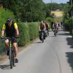 on Tour