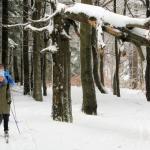 Mädels allein im Wald