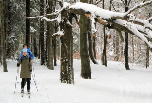 Mädels allein im Wald