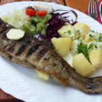 Fisch