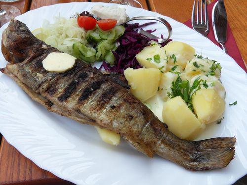 Fisch